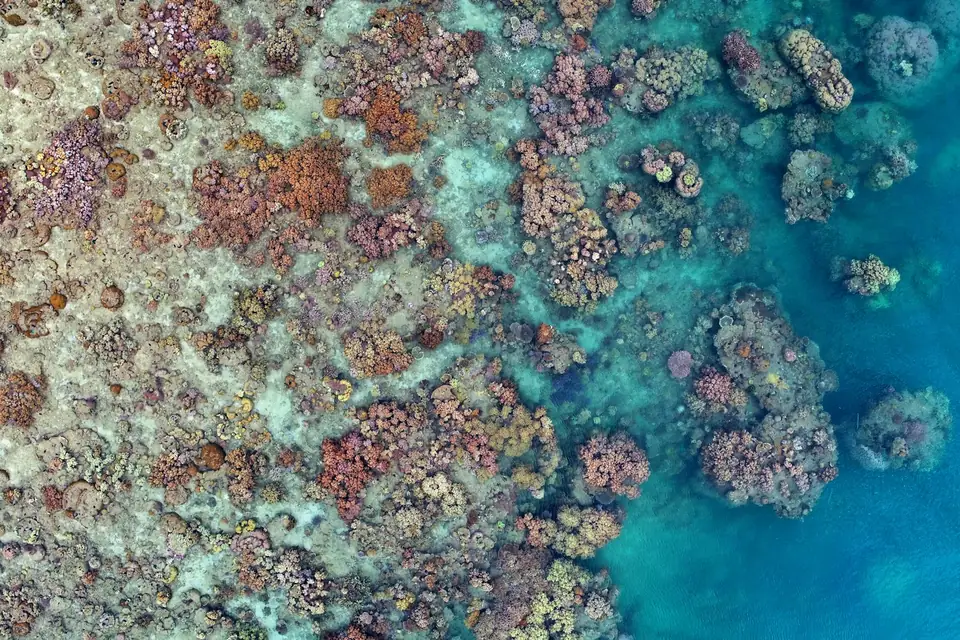 Aerial view of the Great Barrier Reef turquoise waters and coral formations