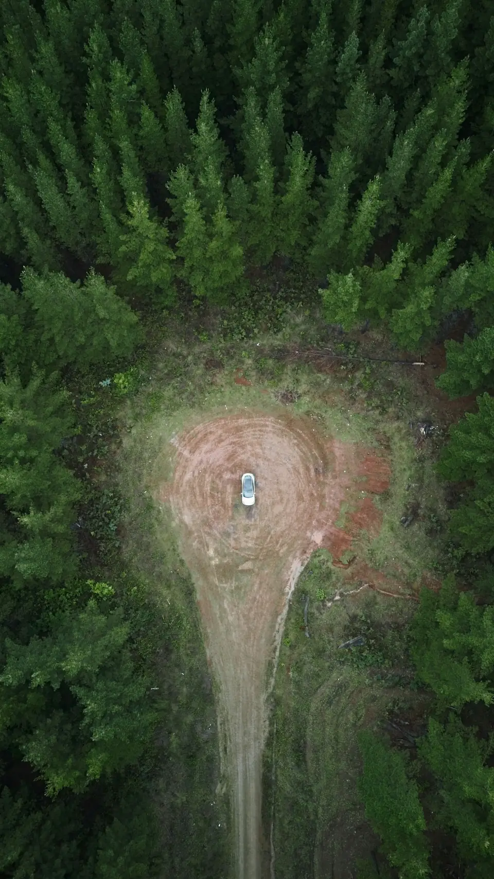 Road trip car
